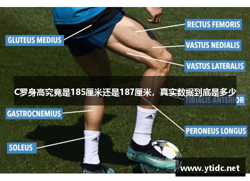 C罗身高究竟是185厘米还是187厘米，真实数据到底是多少