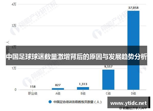 中国足球球迷数量激增背后的原因与发展趋势分析