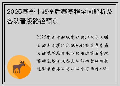 2025赛季中超季后赛赛程全面解析及各队晋级路径预测